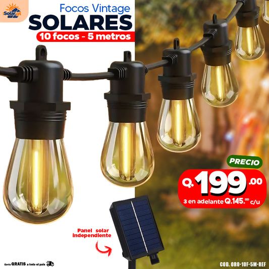 Focos Vintage Solares de 10 y 20 focos