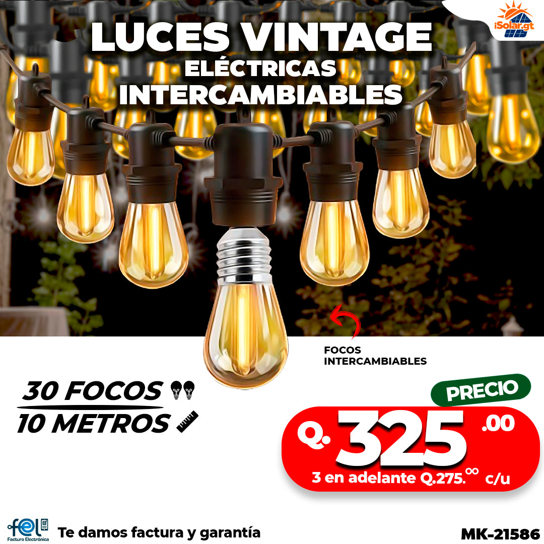 🌃🌿 LUZ VINTAGE DE 30 FOCOS | 10 METROS